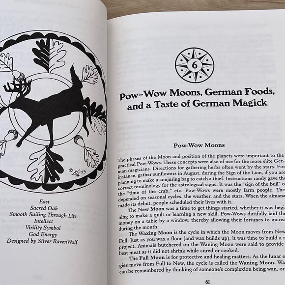 American Folk Magick Charms, Spells & Herbals by Silver RavenWolf - OUT OF PRINT - Picture 14 of 16